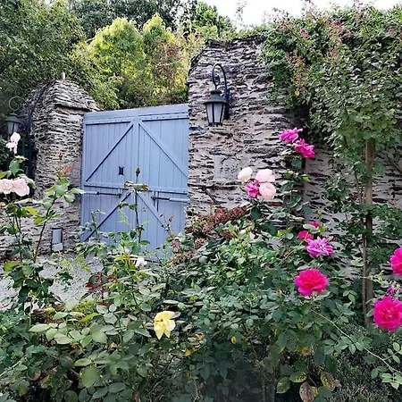 De Charme, Belle-beille *